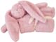 Alimrose Darcey Lovey Blanket - Petal (60cm)