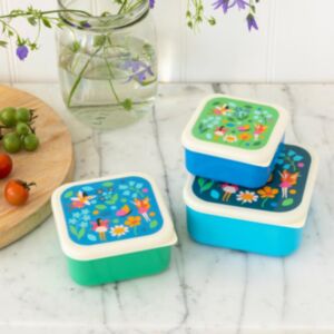 Rex London Fairies in the Garden Set of 3 Snack Boxes