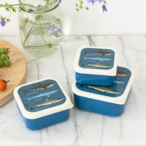Rex London Sharks Set of 3 Snack Boxes